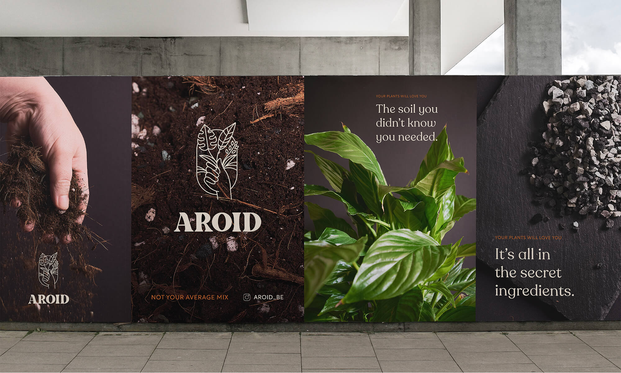 Aroid / Branding / Design / Art Direction